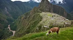 De l'ombre à la lumière L'empire Inca