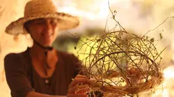 De l'ombre à la lumière La Sainte Couronne