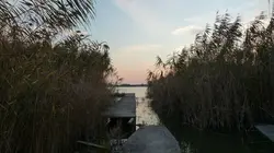 De l'ombre à la lumière Le Déluge