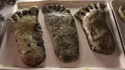 De l'ombre à la lumière E01 La chasse au Yéti