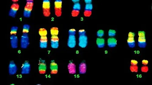 Casting De l'ordre des choses