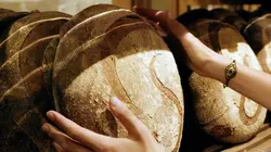 De la farine au four, quel pain ?