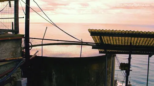 De la planète des humains
