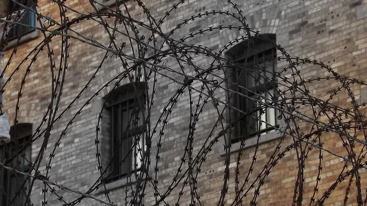 Visuel de De monstre à citoyen