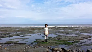 Respect de la biodiversité