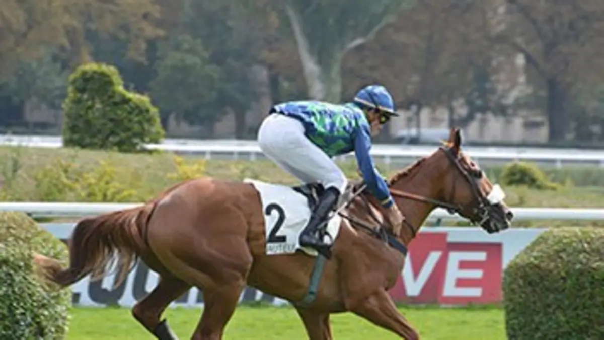 De Penthièvre à Auteuil