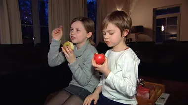 De Pfaff's