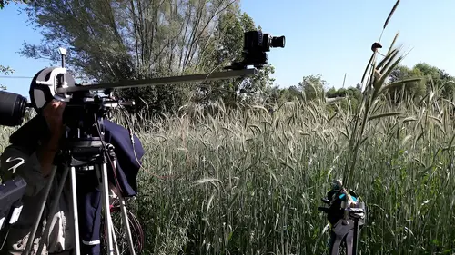 De Plaine en Bocage S01E02 Le petit peuple des champs