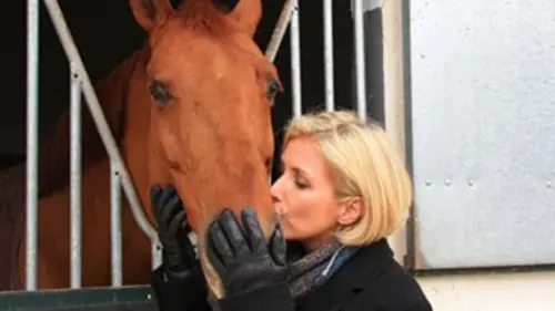 De si belles histoires