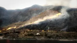 Dead End Express : Livraisons impossibles