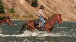 Dead End Express : Livraisons impossibles