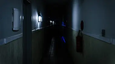 Des yeux dans la nuit