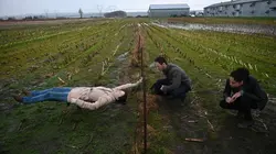 Debris