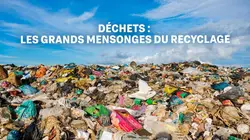 Déchets : les grands mensonges du recyclage