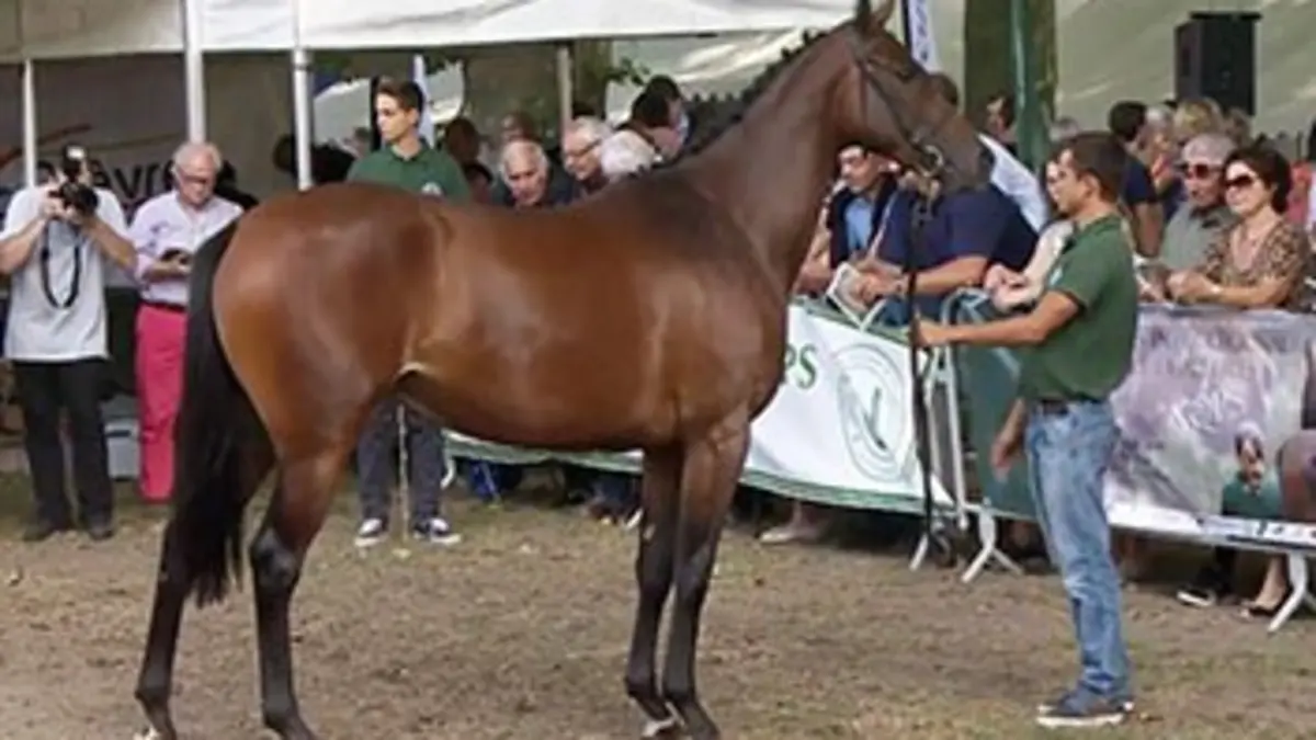 Decize, à la découverte du futur crack