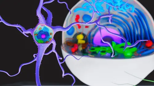 Déclics Virus et bactéries : petits mais costauds