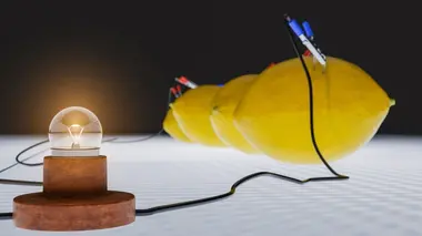 Electricité : tout s'éclaire !