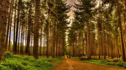 Décollage pour la Grande-Bretagne