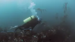 Décroche ton job S01E05 Toucher le fond