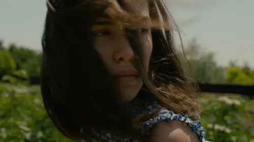 Dédales en streaming