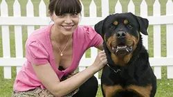 Visuel de Défilé de chiens