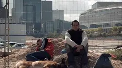 Visuel de Deglet Nour