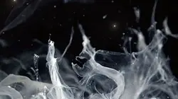Visuel de Déguste