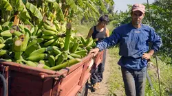 Délices de Sicile A l'ombre de l'Etna