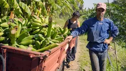 Délices de Sicile A l'ombre de l'Etna