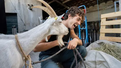 Délits mineurs S01E05 Stella