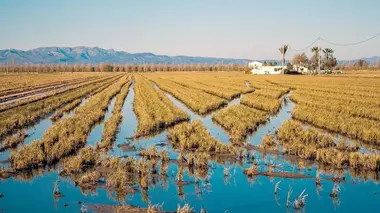 L'Ebre, le joyau vert