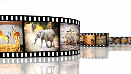 Casting Demain l'Afrique