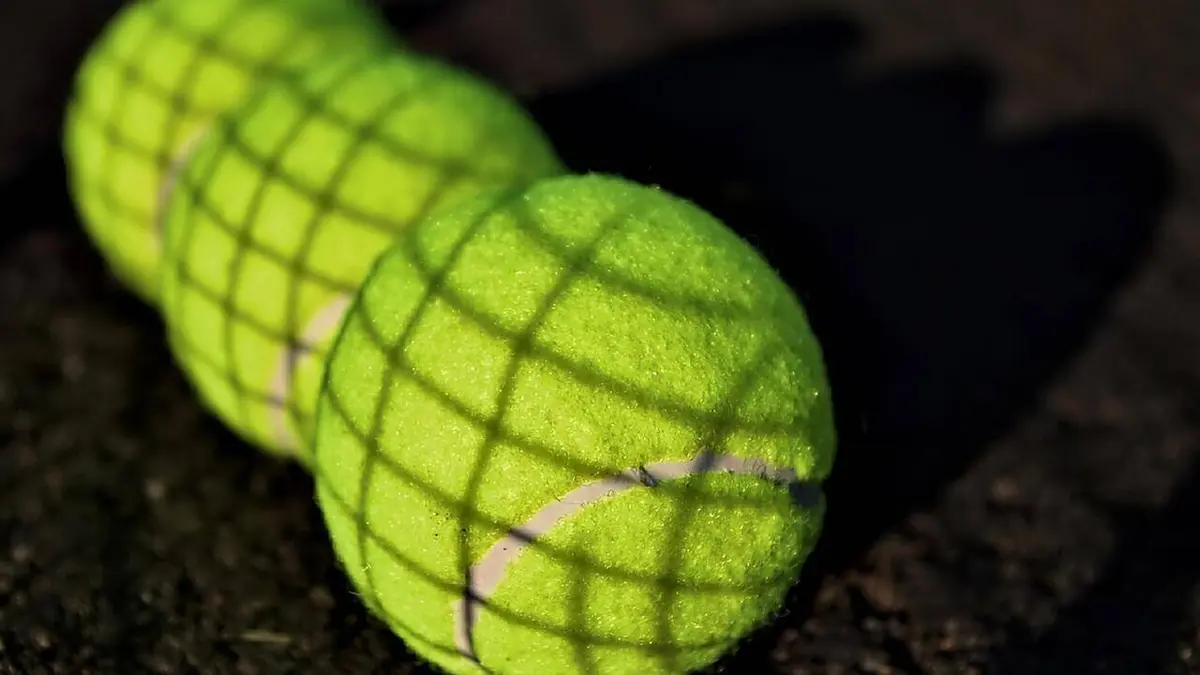 Demi-finales Tennis ATP Doha 2021