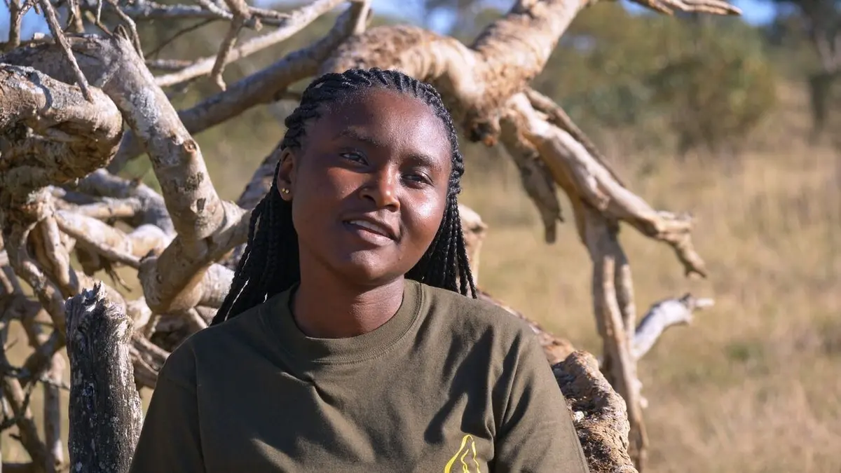 Visuel de Démocraties animales Le chef consulte