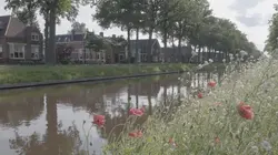 Démocraties, l'Europe en péril