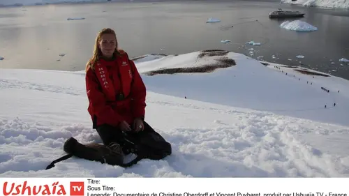 Denis Brogniart présente