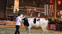 Départ immédiat Un an dans les coulisses du Salon de l'Agriculture