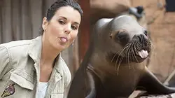 Départ immédiat Le zoo du Pal