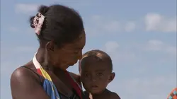 Dernière chance pour les lémuriens de Madagascar