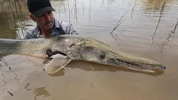 Derniers géants Prédateurs préhistoriques