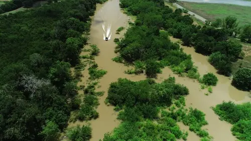 Derniers géants Face au monstre