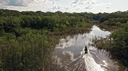 Derniers géants Pêche en eaux troubles
