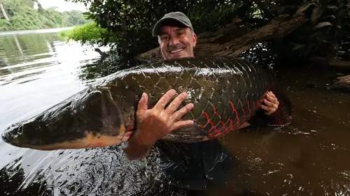 Derniers géants A la limite de la rupture