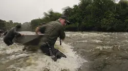 Derniers géants Colosse de la jungle