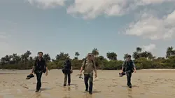 Derniers géants Barracuda en furie