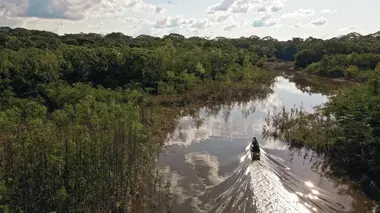Derniers géants Pêche en eaux troubles