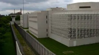 Un cerveau et des muscles