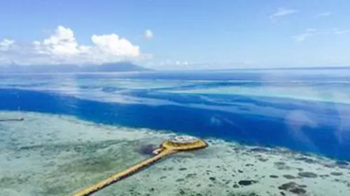 Des ailes et des îles Un dauphin à Tahiti