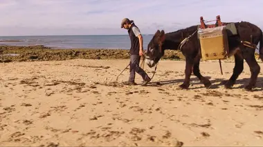 Des animaux d'avenir