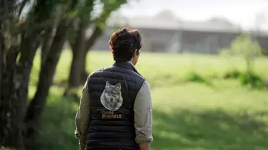 Des animaux et des hommes